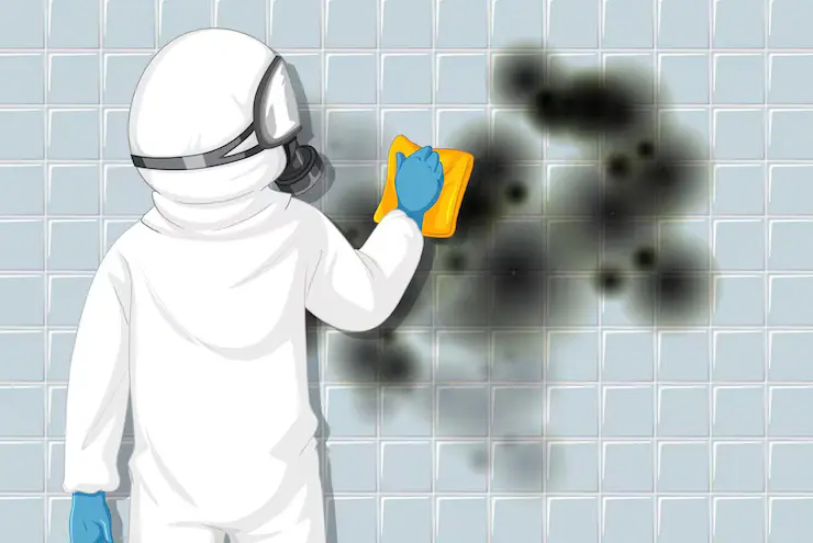 Moss & Mould Treatment Specialists